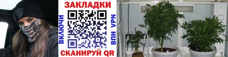 Магазины продажи наркотиков Болгар Cocaine Мефедрон ГАШ АМФ Бошки Шишки