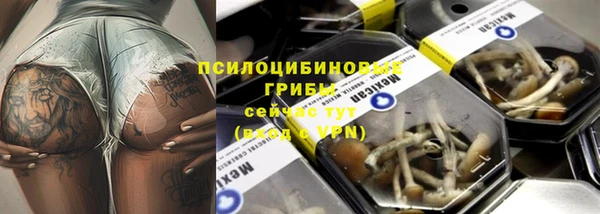 эйфоретик Алексеевка