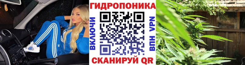 Марихуана семена блэк спрут ONION Болгар